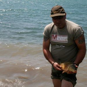 13061989 1372589896099814 2434609455986678982 n