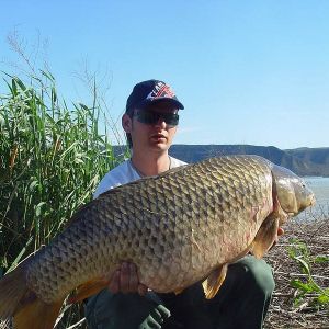 13062113 1372585972766873 5852818446204631049 n