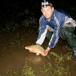 13062141 1372589679433169 630910013526844995 n