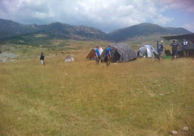 12993489 1372610409431096 5285021464376750838 n