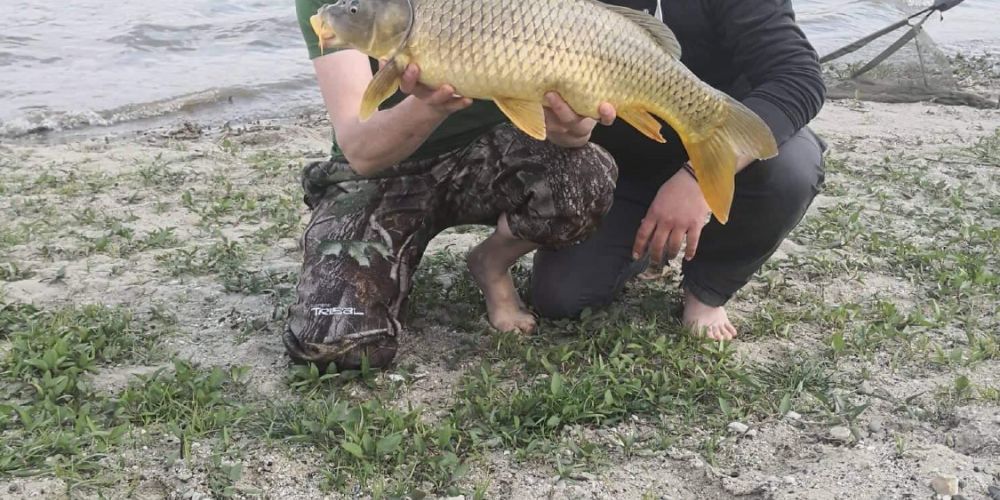 57550525 417227035764336 8653442521059295232 n