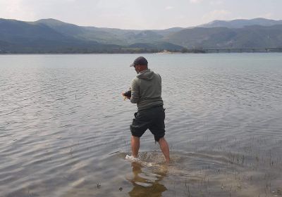 57964052 417223919097981 2861569832665481216 n