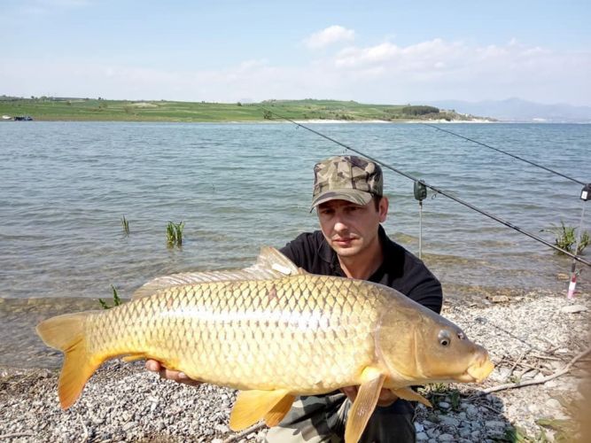 58032994 417223592431347 8737036465973755904 n