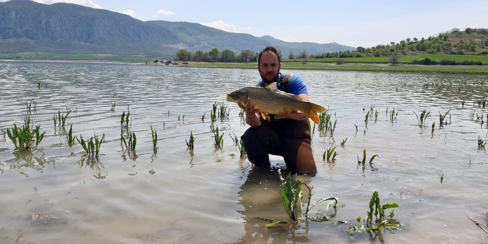 58377623 417224412431265 7012539669938176000 n