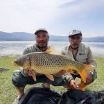 58420204 417224609097912 5226246639634612224 n