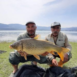 58420204 417224609097912 5226246639634612224 n