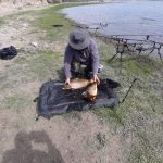 58443577 417224255764614 8536973324503220224 n