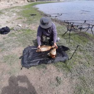 58443577 417224255764614 8536973324503220224 n