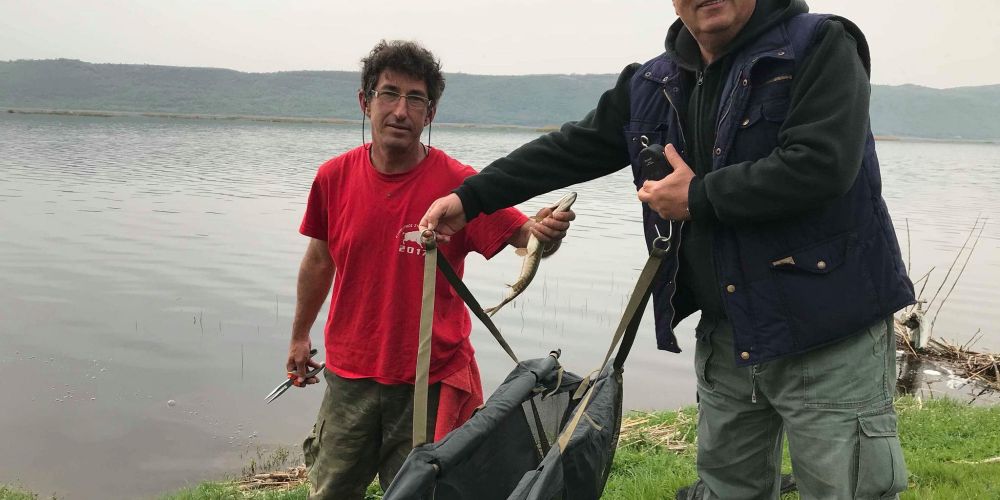 30704545 177565136397195 1883073461119614976 n