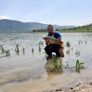 58443664 417224545764585 1613130823786037248 n