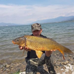 58460799 417226382431068 3245740724418772992 n