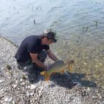 58461104 417226169097756 5655210157634748416 n