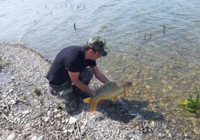 58461104 417226169097756 5655210157634748416 n 58461104 417226169097756 5655210157634748416 n