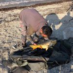 58462213 417226932431013 1626399266253570048 n