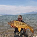 58462234 417224462431260 6907647720937226240 n