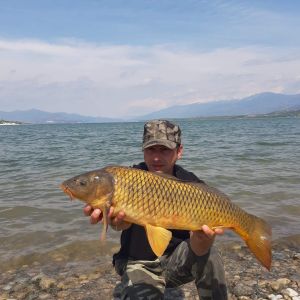 58462234 417224462431260 6907647720937226240 n