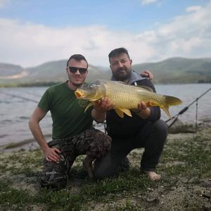 58600104 417227169097656 536338271630786560 n