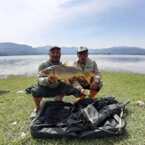 58667585 417224679097905 2578942494754471936 n