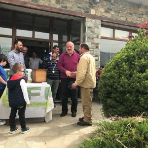 30713445 177565669730475 4672473167309045760 n