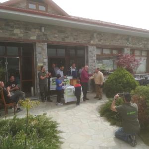 30714517 177562553064120 3673988022262562816 n