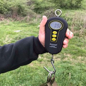 30715153 177565689730473 1378870478394884096 n