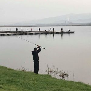 30715718 177565199730522 789715013945262080 n