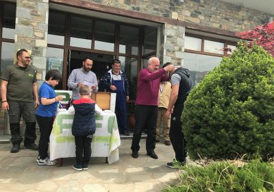 30715736 177566133063762 3292797889352302592 n