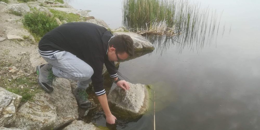 30716585 177561429730899 7659735385395691520 n