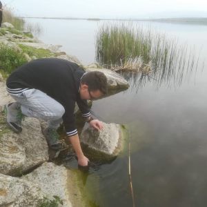 30716585 177561429730899 7659735385395691520 n