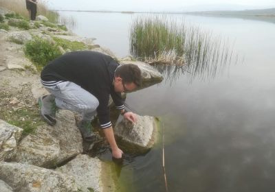 30716585 177561429730899 7659735385395691520 n