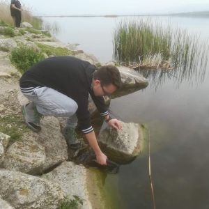 30716770 177560143064361 6736003437466484736 n