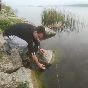 30725745 177561276397581 7679329846538797056 n