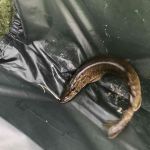 30726221 177562839730758 6405430430442455040 n