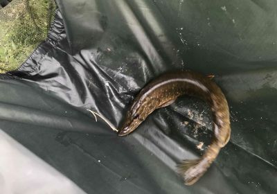 30726221 177562839730758 6405430430442455040 n 30726221 177562839730758 6405430430442455040 n