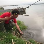 30726541 177562373064138 424251956056293376 n