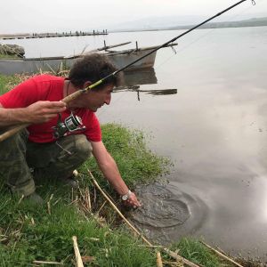 30726541 177562373064138 424251956056293376 n