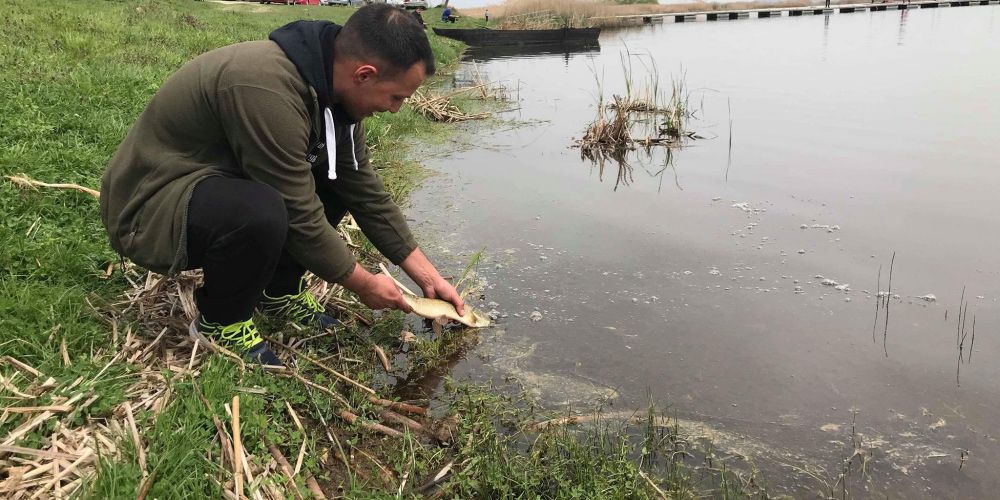 30726994 177564903063885 4953123793766711296 n