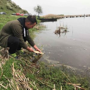 30726994 177564903063885 4953123793766711296 n