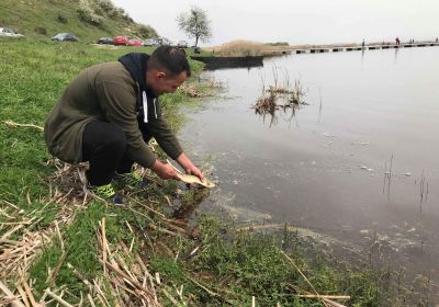 30726994 177564903063885 4953123793766711296 n