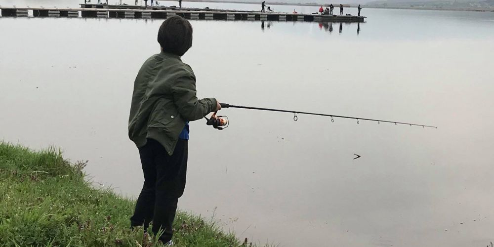 30728040 177562089730833 3392359586370420736 n