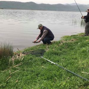 30728253 177563586397350 4446482497978499072 n