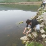 30738380 177561113064264 351579013463932928 n