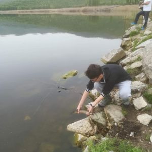 30738380 177561113064264 351579013463932928 n