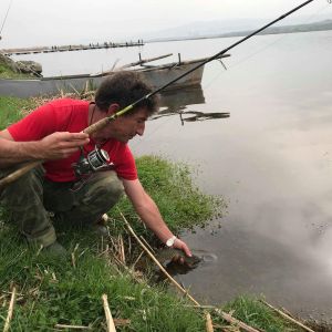 30738610 177563836397325 9217557862316769280 n