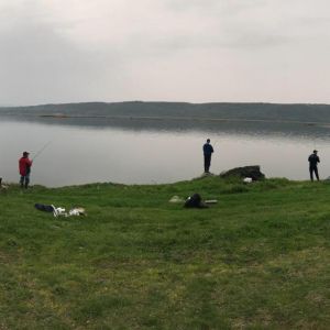 30739161 177565249730517 7001292391835500544 n