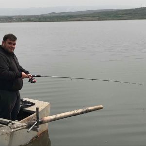 30740085 177563903063985 3091633956353736704 n