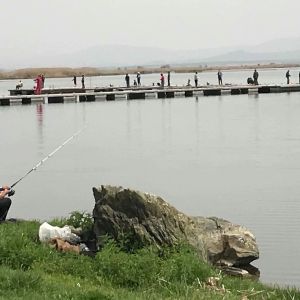 30740293 177565549730487 4714412522227105792 n