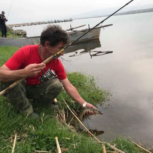 30740645 177563973063978 2529208469978873856 n