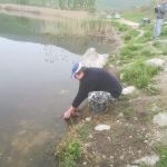 30740959 177560543064321 5945843082657267712 n