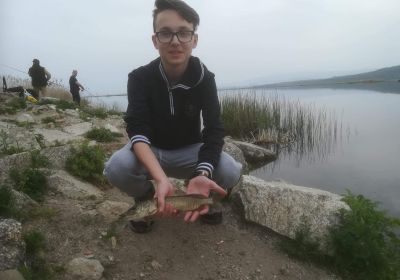 30741095 177560329731009 7642684743187693568 n